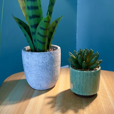 Porte Du Soleil Les Sables-dʼOlonne