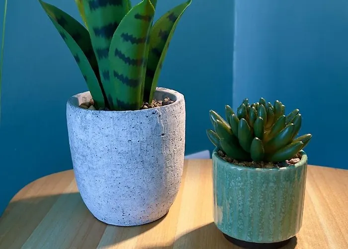 Porte Du Soleil Les Sables-dʼOlonne